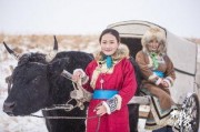 蒙古袍子爆料视频播放,视频爆料背后的时尚传奇