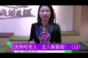 小莉帮忙在线观看,便捷生活新体验