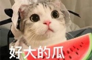 抖音网红憨憨倩吃瓜,抖音网红带你领略美食与娱乐的跨界魅力