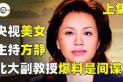 央视女主持被爆料视频,央视女主持被爆料视频引发舆论风波