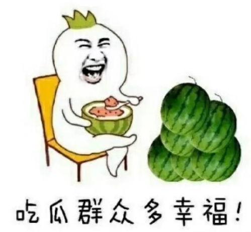 小娱乐吃瓜